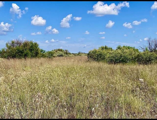 FARM FOR SALE IN REIVILO RURAL